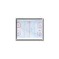 Picture of Ariel View of Rink  _GroupedProduct_Rectangle_Landscape_Mini_ _GroupedProduct_Rectangle_Landscape_Canvas_Framed_