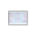 Picture of Ariel View of Rink  _GroupedProduct_Rectangle_Landscape_Mini_ _GroupedProduct_Rectangle_Landscape_Canvas_Framed_