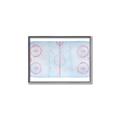 Picture of Ariel View of Rink  _GroupedProduct_Rectangle_Landscape_Mini_ _GroupedProduct_Rectangle_Landscape_Canvas_Framed_