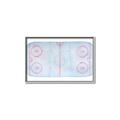 Picture of Ariel View of Rink  _GroupedProduct_Rectangle_Landscape_Mini_ _GroupedProduct_Rectangle_Landscape_Canvas_Framed_