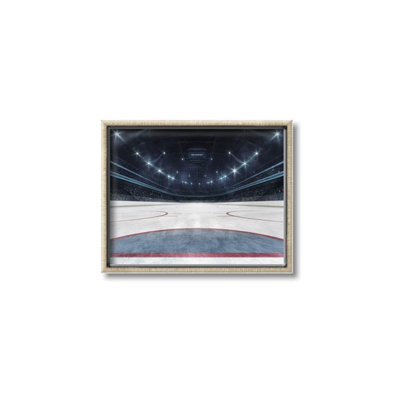 Picture of Down the Ice _GroupedProduct_Rectangle_Landscape_Mini_ _GroupedProduct_Rectangle_Landscape_Canvas_Framed_