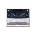 Picture of Down the Ice _GroupedProduct_Rectangle_Landscape_Mini_ _GroupedProduct_Rectangle_Landscape_Canvas_Framed_