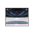 Picture of Down the Ice _GroupedProduct_Rectangle_Landscape_Mini_ _GroupedProduct_Rectangle_Landscape_Canvas_Framed_