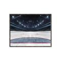 Picture of Down the Ice _GroupedProduct_Rectangle_Landscape_Mini_ _GroupedProduct_Rectangle_Landscape_Canvas_Framed_