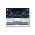 Picture of Down the Ice _GroupedProduct_Rectangle_Landscape_Mini_ _GroupedProduct_Rectangle_Landscape_Canvas_Framed_