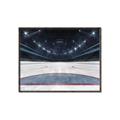 Picture of Down the Ice _GroupedProduct_Rectangle_Landscape_Mini_ _GroupedProduct_Rectangle_Landscape_Canvas_Framed_