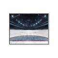 Picture of Down the Ice _GroupedProduct_Rectangle_Landscape_Mini_ _GroupedProduct_Rectangle_Landscape_Canvas_Framed_