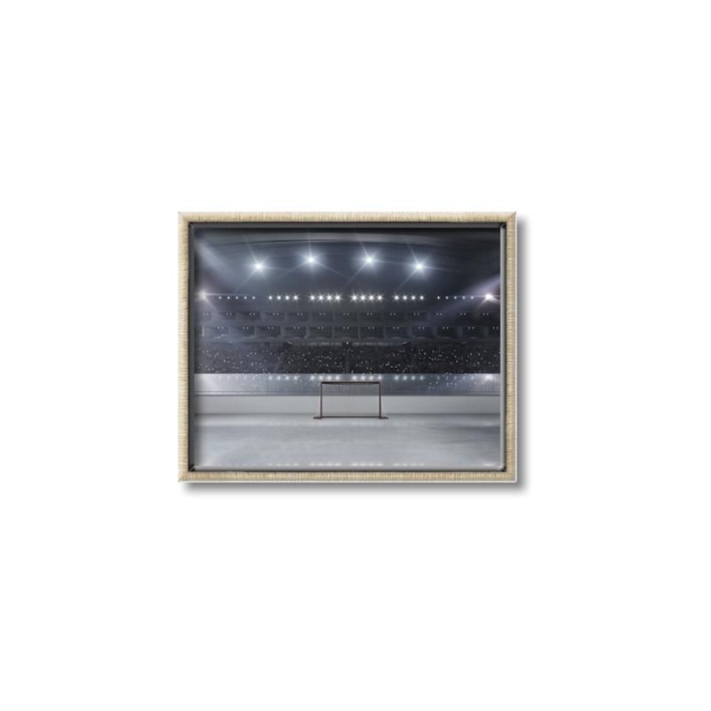 Picture of Empty Net _GroupedProduct_Rectangle_Landscape_Mini_ _GroupedProduct_Rectangle_Landscape_Canvas_Framed_