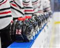 Picture of Hockey Lineup  _GroupedProduct_Rectangle_Landscape_Mini_ _GroupedProduct_Rectangle_Landscape_Unframed_Print_Only_