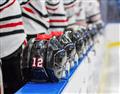 Picture of Hockey Lineup  _GroupedProduct_Rectangle_Landscape_Mini_ _GroupedProduct_Rectangle_Landscape_Unframed_Print_Only_
