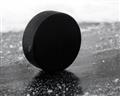 Picture of Rolling Puck  _GroupedProduct_Rectangle_Landscape_Mini_ _GroupedProduct_Rectangle_Landscape_Unframed_Print_Only_
