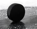 Picture of Rolling Puck  _GroupedProduct_Rectangle_Landscape_Mini_ _GroupedProduct_Rectangle_Landscape_Unframed_Print_Only_