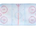 Picture of Ariel View of Rink  _GroupedProduct_Rectangle_Landscape_Mini_ _GroupedProduct_Rectangle_Landscape_Unframed_Print_Only_