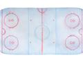 Picture of Ariel View of Rink  _GroupedProduct_Rectangle_Landscape_Mini_ _GroupedProduct_Rectangle_Landscape_Unframed_Print_Only_