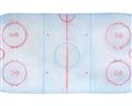 Picture of Ariel View of Rink  _GroupedProduct_Rectangle_Landscape_Mini_ _GroupedProduct_Rectangle_Landscape_Unframed_Print_Only_
