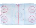 Picture of Ariel View of Rink  _GroupedProduct_Rectangle_Landscape_Mini_ _GroupedProduct_Rectangle_Landscape_Unframed_Print_Only_