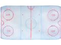 Picture of Ariel View of Rink  _GroupedProduct_Rectangle_Landscape_Mini_ _GroupedProduct_Rectangle_Landscape_Unframed_Print_Only_