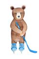Picture of Hockey Bear _GroupedProduct_Rectangle_Portrait_Mini_ _GroupedProduct_Rectangle_Portrait_Unframed_Print_Only_