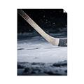 Picture of Hockey Stick Diptych II  _GroupedProduct_Rectangle_Portrait_Mini_ _GroupedProduct_Rectangle_Portrait_Unframed_Print_Only_