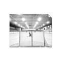Picture of Behind the Net _GroupedProduct_Rectangle_Landscape_Mini_ _GroupedProduct_Rectangle_Landscape_Unframed_Print_Only_