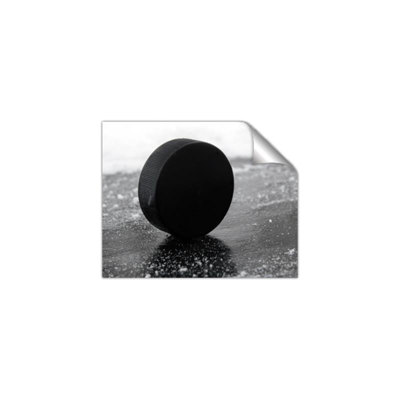 Picture of Rolling Puck  _GroupedProduct_Rectangle_Landscape_Mini_ _GroupedProduct_Rectangle_Landscape_Unframed_Print_Only_