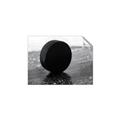 Picture of Rolling Puck  _GroupedProduct_Rectangle_Landscape_Mini_ _GroupedProduct_Rectangle_Landscape_Unframed_Print_Only_