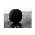 Picture of Rolling Puck  _GroupedProduct_Rectangle_Landscape_Mini_ _GroupedProduct_Rectangle_Landscape_Unframed_Print_Only_