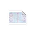 Picture of Ariel View of Rink  _GroupedProduct_Rectangle_Landscape_Mini_ _GroupedProduct_Rectangle_Landscape_Unframed_Print_Only_
