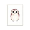 Picture of Baby Farm Owl _GroupedProduct_Rectangle_Portrait_Mini_ _GroupedProduct_Rectangle_Portrait_Canvas_Framed_