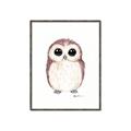 Picture of Baby Farm Owl _GroupedProduct_Rectangle_Portrait_Mini_ _GroupedProduct_Rectangle_Portrait_Canvas_Framed_