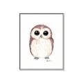 Picture of Baby Farm Owl _GroupedProduct_Rectangle_Portrait_Mini_ _GroupedProduct_Rectangle_Portrait_Canvas_Framed_