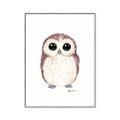 Picture of Baby Farm Owl _GroupedProduct_Rectangle_Portrait_Mini_ _GroupedProduct_Rectangle_Portrait_Canvas_Framed_