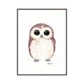 Picture of Baby Farm Owl _GroupedProduct_Rectangle_Portrait_Mini_ _GroupedProduct_Rectangle_Portrait_Canvas_Framed_