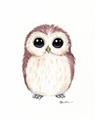 Picture of Baby Farm Owl _GroupedProduct_Rectangle_Portrait_Mini_ _GroupedProduct_Rectangle_Portrait_Unframed_Print_Only_