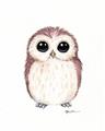 Picture of Baby Farm Owl _GroupedProduct_Rectangle_Portrait_Mini_ _GroupedProduct_Rectangle_Portrait_Unframed_Print_Only_