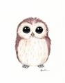 Picture of Baby Farm Owl _GroupedProduct_Rectangle_Portrait_Mini_ _GroupedProduct_Rectangle_Portrait_Unframed_Print_Only_