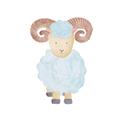 Picture of Farm Sheep _GroupedProduct_Square_Mini_ _GroupedProduct_Square_Unframed_Print_Only_