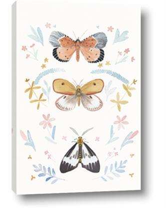 Picture of Butterfly conservatory II