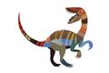 Picture of Colourful velociraptor  _GroupedProduct_Rectangle_Landscape_Mini_ _GroupedProduct_Rectangle_Landscape_Unframed_Print_Only_