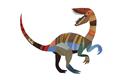 Picture of Colourful velociraptor  _GroupedProduct_Rectangle_Landscape_Mini_ _GroupedProduct_Rectangle_Landscape_Unframed_Print_Only_