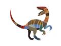 Picture of Colourful velociraptor  _GroupedProduct_Rectangle_Landscape_Mini_ _GroupedProduct_Rectangle_Landscape_Unframed_Print_Only_