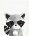 Picture of Curious Raccoon  _GroupedProduct_Rectangle_Portrait_Mini_ _GroupedProduct_Rectangle_Portrait_Unframed_Print_Only_