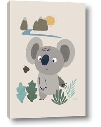 Picture of Curious koala