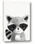 Picture of Curious Raccoon