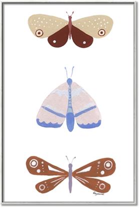 Picture of Pastel Butterflies II