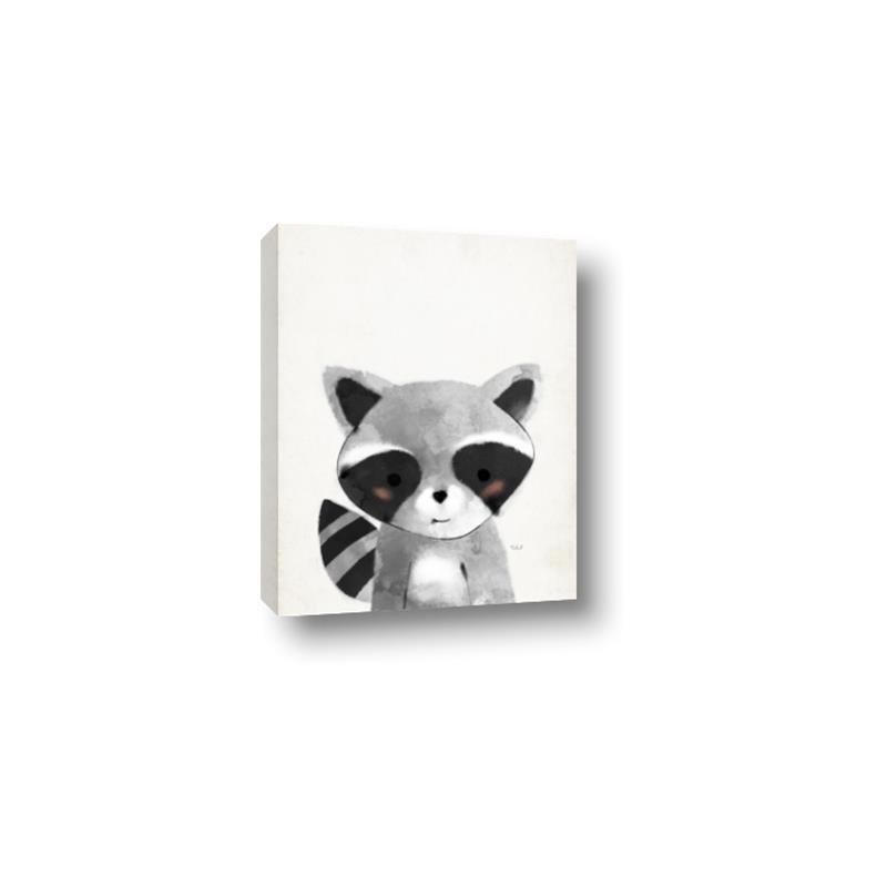 Picture of Curious Raccoon  _GroupedProduct_Rectangle_Portrait_Mini_ _GroupedProduct_Rectangle_Portrait_Canvas_