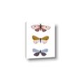 Picture of Pastel Butterflies I _GroupedProduct_Rectangle_Portrait_Mini_ _GroupedProduct_Rectangle_Portrait_Canvas_