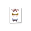 Picture of Pastel Butterflies I _GroupedProduct_Rectangle_Portrait_Mini_ _GroupedProduct_Rectangle_Portrait_Canvas_