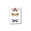 Picture of Pastel Butterflies I _GroupedProduct_Rectangle_Portrait_Mini_ _GroupedProduct_Rectangle_Portrait_Canvas_