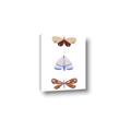 Picture of Pastel Butterflies II _GroupedProduct_Rectangle_Portrait_Mini_ _GroupedProduct_Rectangle_Portrait_Canvas_